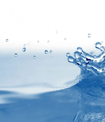  Por que a ingestão de água é essencial no tratamento de doenças?